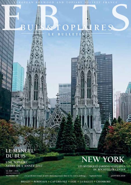 Buis & Topiaires n°18
