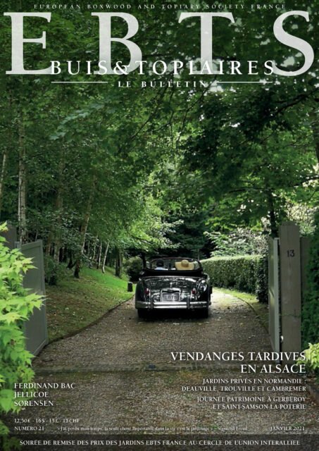 Buis & Topiaires n°21