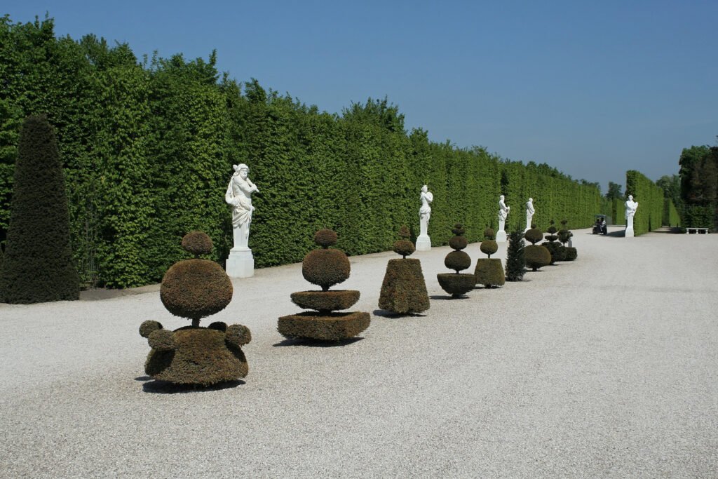 Versailles, Parterre de Latone, topiaires © CC-BY-SA Coyau
