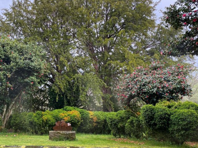 Pazo de Brandeso
