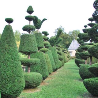 Château du Grand Jardin à Joinville