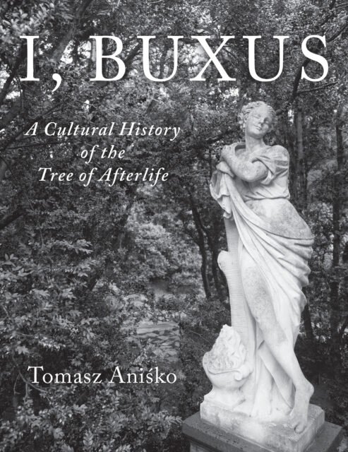 I, Buxus