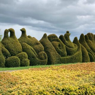 Jardins de la Javelière