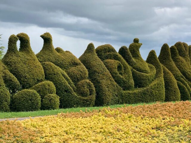 Jardins de la Javelière
