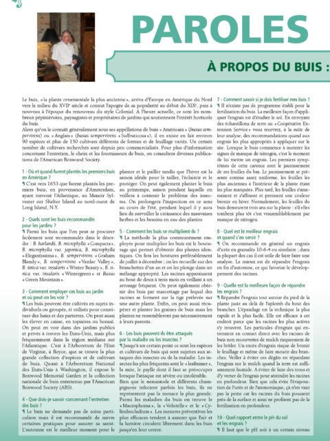 À propos du buis