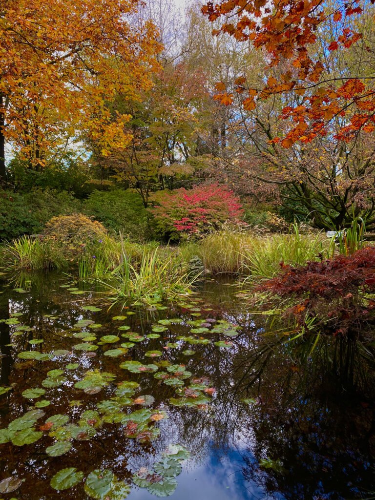 Il giardino di Poggio Castello – Monguzzo