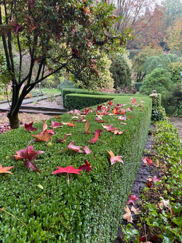 Il giardino di Poggio Castello – Monguzzo