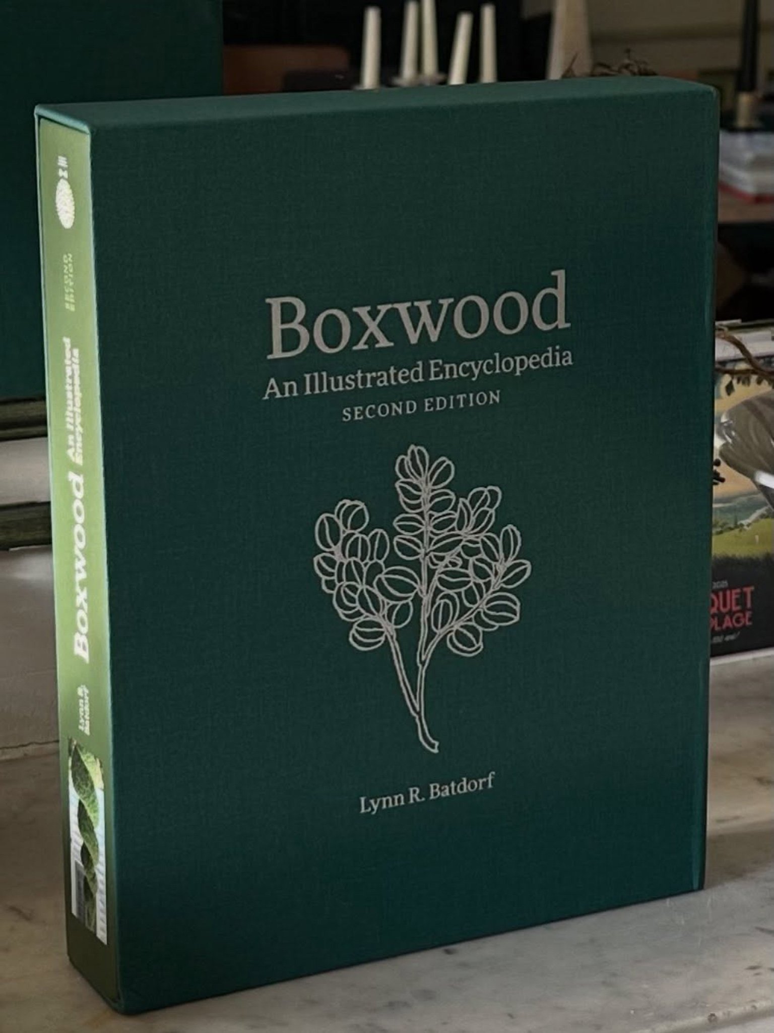 Encyclopédie Mondiale des Buis (2ème édition)