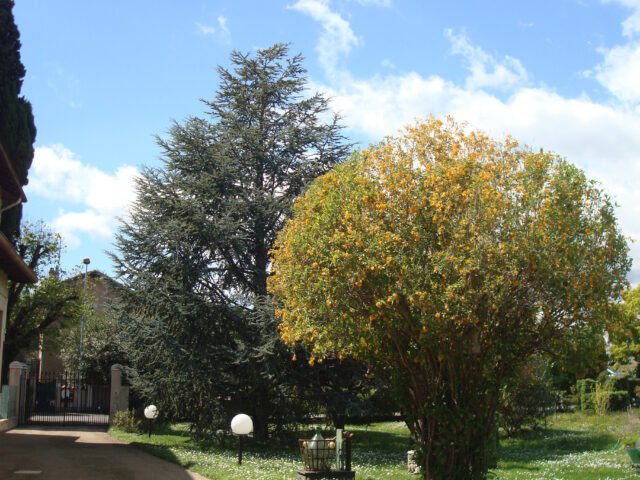 Propriété Marro