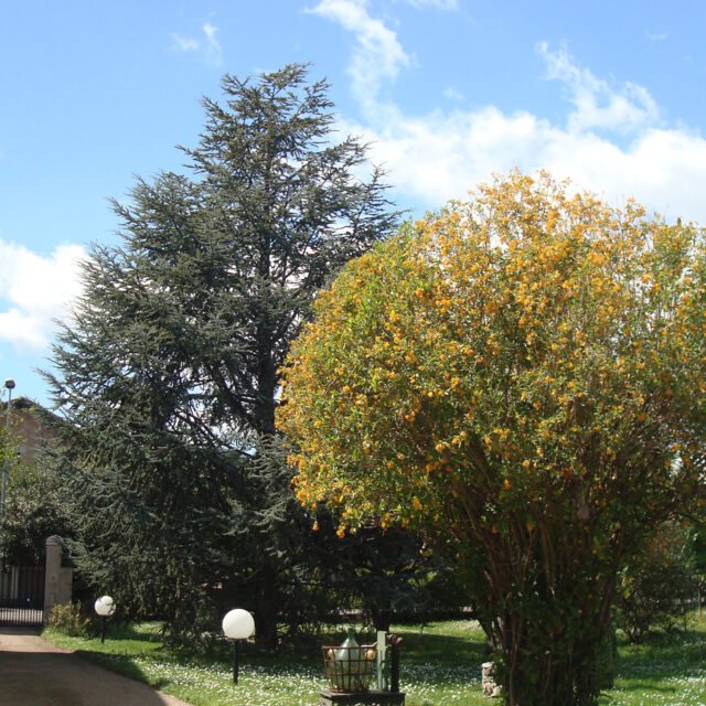 Propriété Marro