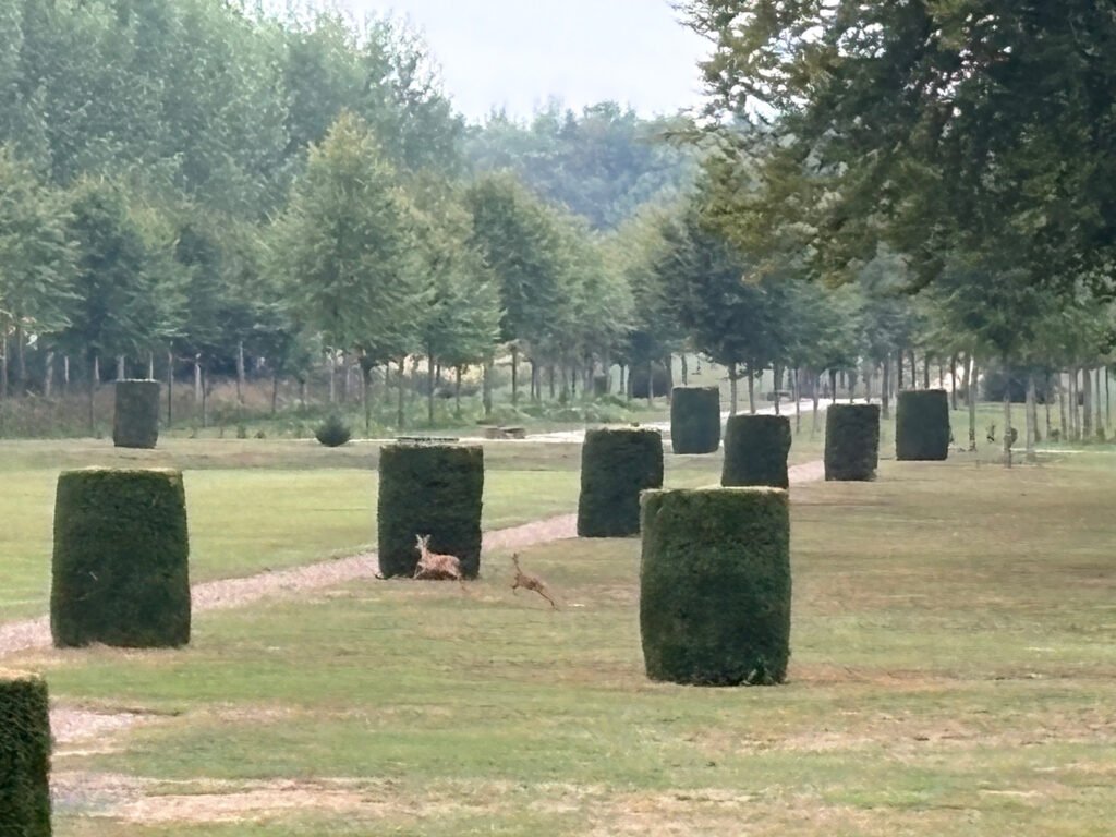 Parc de Maubranche