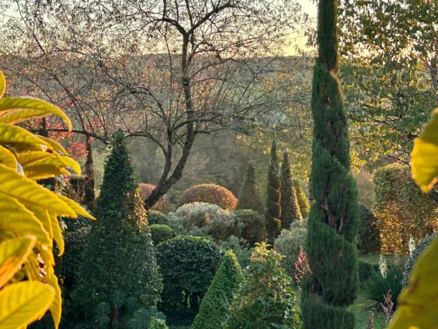 Jardin de La Mothe