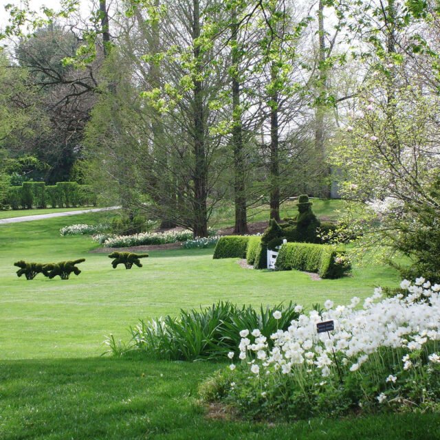 Ladew Topiary Gardens