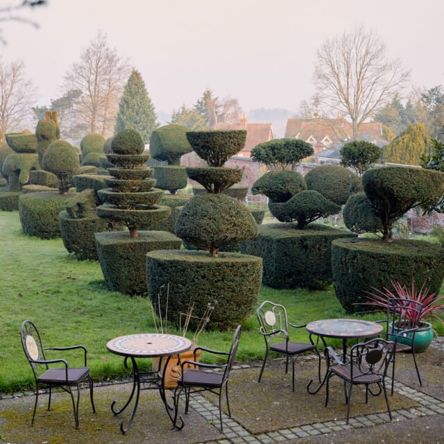 Mount Ephraim Gardens