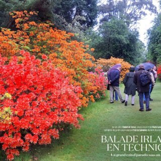 Voyage EBTS France en Irlande