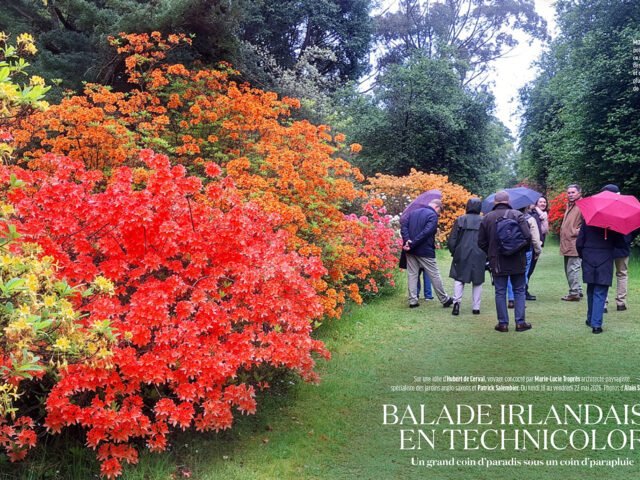 Voyage en Irlande